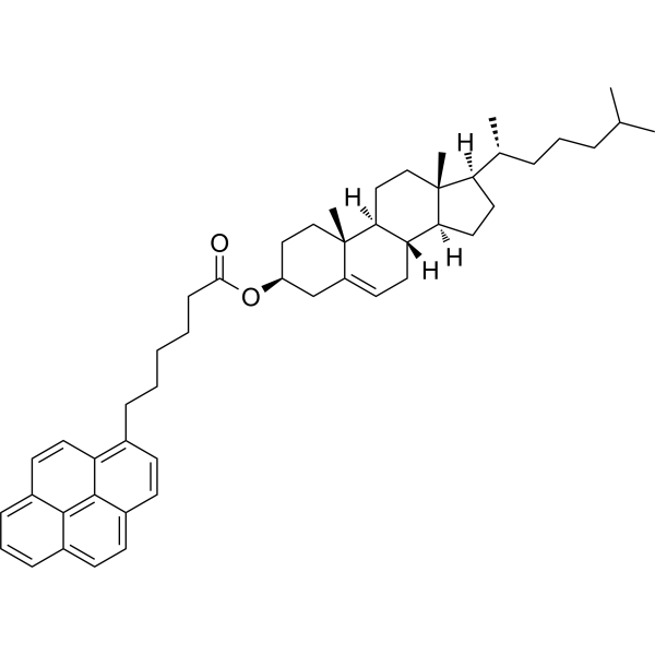 Cholesteryl (pyren-1-yl)hexanoate (P6Chol) 96886-70-3